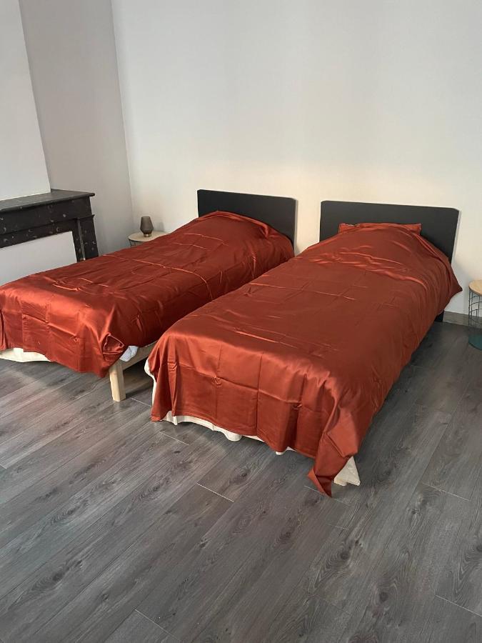"Le Machao" - Cosy T3 - Centre Ville Mâcon Dış mekan fotoğraf